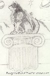 Black Lion in Pencil Thumbnail